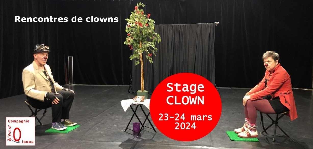 Rencontres de clowns (travailler à 2, 3...)