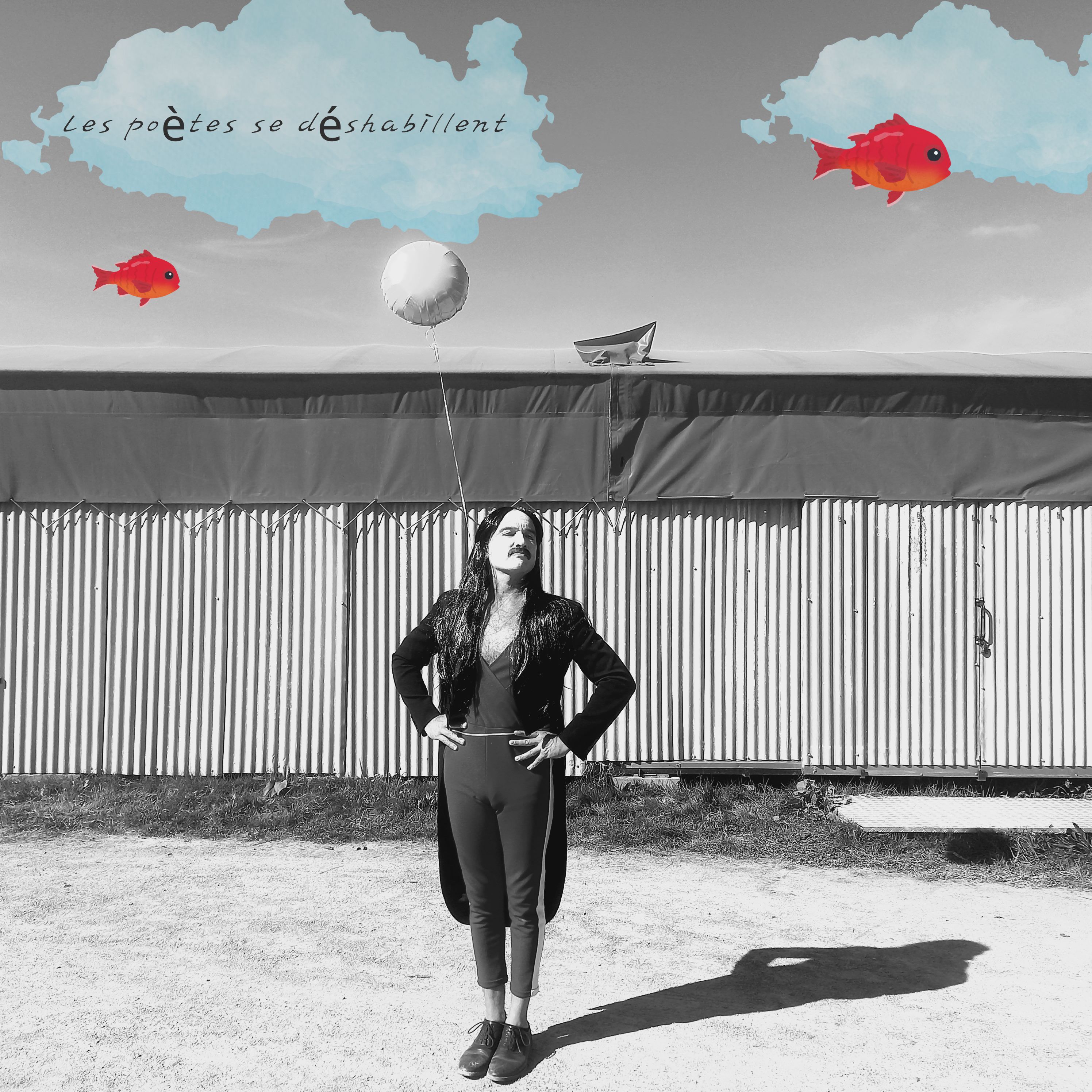 Présentation Publique Fin De Stage Clown (1)