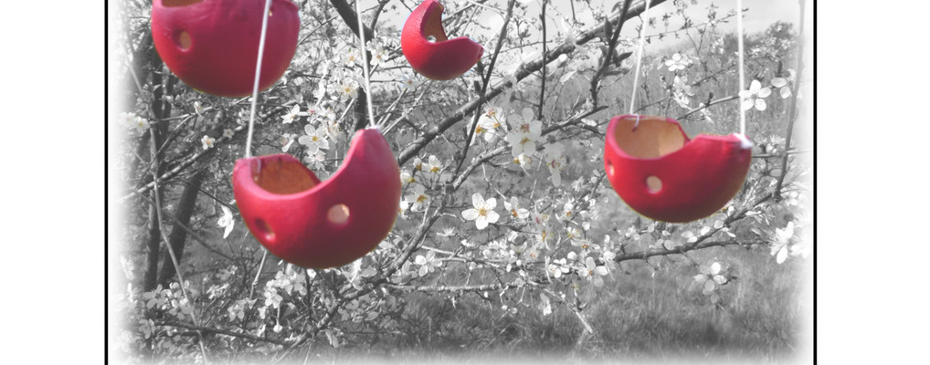 Stage clown: "l'éveil du joueur-se"